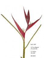 super jakość HELIKONIA HELICONIA 125 cm długość, 35 cm kwiat ciemno-czerwony