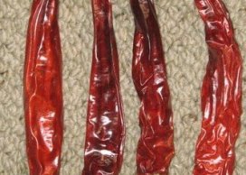 Chilli pepper long  red 11 - 14 cm 250g/pb around 145 - 155 pc.