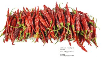 Chilli pepper long  red 12 cm 250g/pb