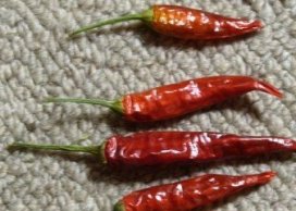 Chili papryka krótka czerwona do dekoracji, ok 4-7 cm 250g/opak, ok 420-430 szt.