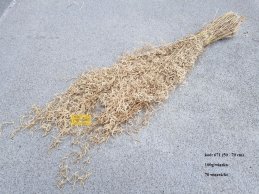 Munni grass natural 100 gram/bdle