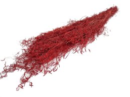 Munni grass red color 100 gram/bdle