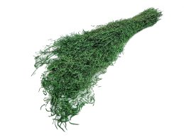 Munni grass jasno zielona 100 gram/wiązka.