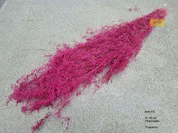 Munni grass antique pink color 100 gram/bdle
