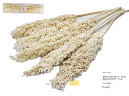 Idian Corn 50 cm bielone białe 6 szt/opak (20 - 35 cm kwiat)