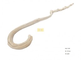 LASKA BANANOWCA wybielana 80-90 cm