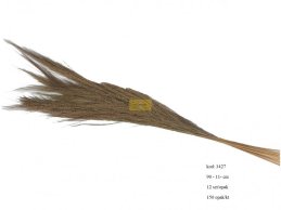 BROOM GRASS NATURAL  90-110CM -12PC/PACK