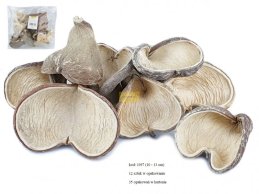 BADAM WYBIELANY 10-13 cm, 12 sztuk w opakowaniu