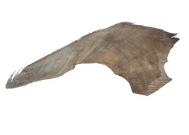 KORA PALMY 1 kg NATURALNA duże grube płaty do produkcji palm 110 cm