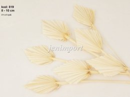 PALM SPEAR MINI 8-10 CM ŚREDNICA BIELONE 24 sztuki w opakowaniu