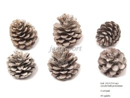 SZYSZKA SOSNY 5-8 cm BIAŁA PRZECIERANA 6 szt/opak 