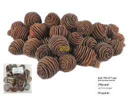 PLATYSPERMUM 4-7cm naturalne 250g/opak (ok 15-16 szt/opak)