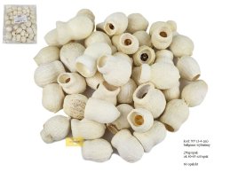 BELLGUMS bielony 3-5 cm 250g/opak, ok 40-45 szt/opak