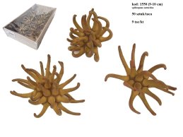 SPIDERGUM CLAWS 8-9 cm naturalny, pakowany 50 szt w pudełku z okienkiem, cena za 50 sztuk