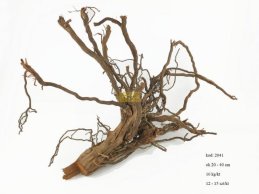 2024 DECO VINE NATURAL  1 KG 25-35 CM/ 10-12 PC BIG/ 10 KG/1 CTN