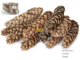 SZYSZKA STROBUS 20 cm+, EXTRA LARGE 12 szt/opak