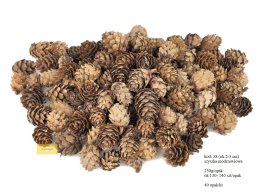 Szyszka modrzewiowa mini 2-3 cm 250 gram/opak