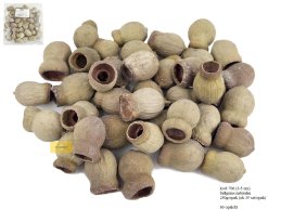 BELLGUMS 3-5 cm naturalny 250g/opak (ok 35 szt/opak)