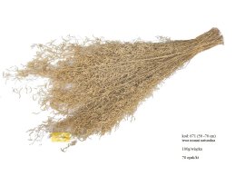 Munni grass naturalna 100 gram/wiązka.