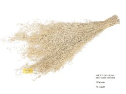 Munni grass bielona 100 gram/wiązka.