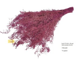 Munni grass różowa 100 gram/wiązka.