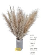 Pampas Trawa Naturalna (Cortadria SP) razem 130 cm długości, 50-70 cm kwiat