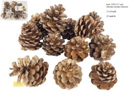 SZYSZKA SOSNY 5-7 cm  ZŁOCONA  12 szt/opak