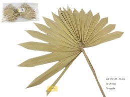PALM SUN 25-30cm NATURALNE 6 szt/opak