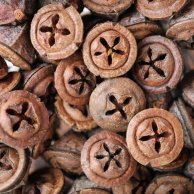 Eucalyptus pod 2-2,5 cm Nasiona eukaliptusa 2-2,5 cm  250 g /opak