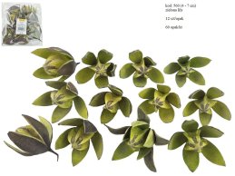 LILY 4-7 cm ZIELONA 12 SZT/OPAK