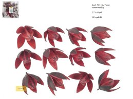 LILY 4-7 cm CZERWONA 12 SZT/OPAK