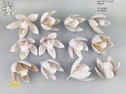 LILY 7-10 cm BIAŁA 12 SZT/OPAK
