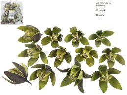 LILY 7-10 cm ZIELONA 12 SZT/OPAK
