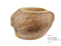 ŁUPINA KOKOSA 21cm długości, 15 cm wysokość, 11 cm średnica otworu.