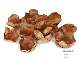 PALM CAP 7-9 cm naturalne kwiaty palmy 12 szt/opak