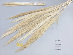 trawa BROOM GRASS BIELONA 90-110cm, 12 sztuk w opakowaniu