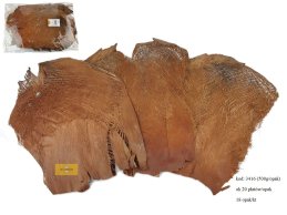 KORA PALMY NATURALNA 500g/opak (ok 20 płatów w opakowaniu)