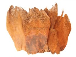 KORA PALMY NATURALNA 500g/opak