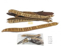 STEP FRUIT NATURALNY 25-45 cm, 12 szt w opakowaniu
